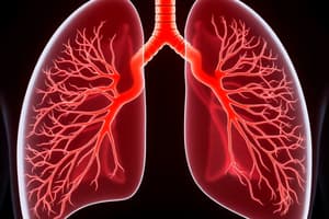 Pulmonary System Structures and Circulation