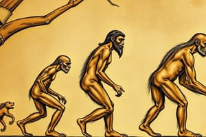 Introduction to Human Evolution