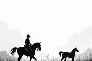 US History: The North and South Sides
