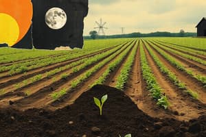 Soil Fertility, Conservation, and Management