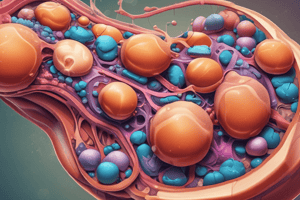 Litiasis Cistínica y Renal