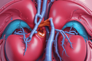 Urogenital Apparatus Quiz