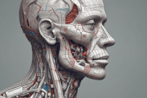 Respiratory AP and Vent Modes