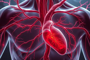 Arteries and Blood Flow Regulation