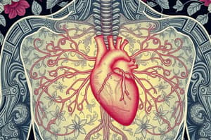 Thoracic Autonomics Quiz