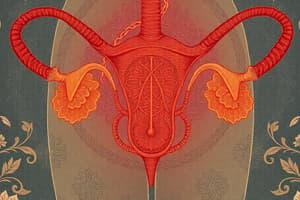 Genitourinary Development and Assessment