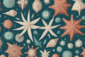 Understanding Echinoderms