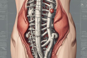 Pelvic Girdle Movement in Labour