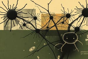 Neurociencia: Células y Sinapsis