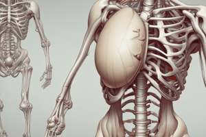 Anatomy of the Pelvis