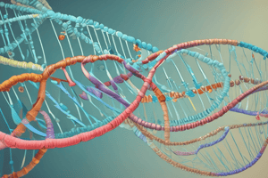 Semiconservative Replication in E. Coli