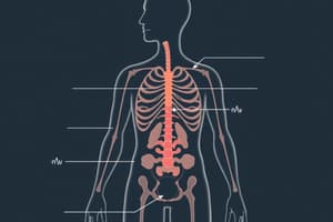 Endocrine System Overview Quiz