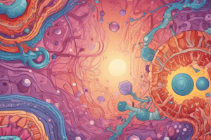 Characteristics of Epithelial Cells