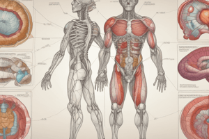 Endocrine System Special Histology