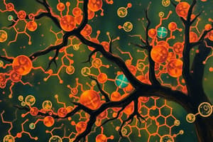 Biochemistry: Enzymes and Metabolic Reactions