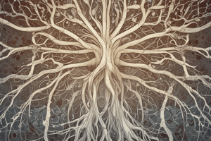 Neuron Doctrine and Levels of Analysis