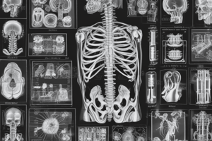 Radiography Profession