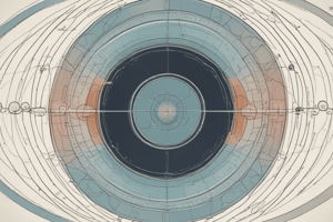 Understanding Venn Diagrams