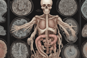 Respiratory Systems in Animals