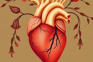 Cardiac Cycle: Diastole and Systole