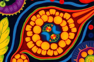 Flowering Plant Structure: Cells and Tissues