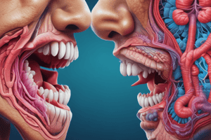 Respiratory System Anatomy - Nose and Pharynx