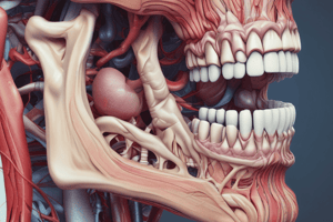 Anatomy of the Oral Cavity and Pharynx