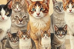 Cat Breeds Overview