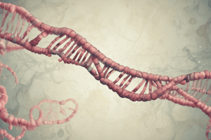 Chromosomal Abnormalities and Causes