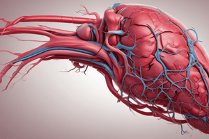 Liver Anatomy and Function Quiz