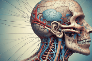 SAQ -Cranial Nerves: Structure, Function, and Disorders