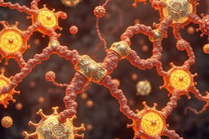 Chapter 5: Enzymes and Their Functions