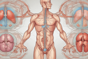 Hormoner og endokrinologiske system