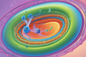 (6-7) Vesicle Transport