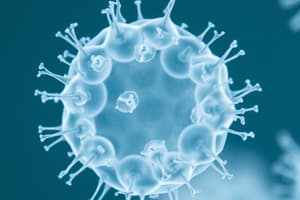 Características de Pseudomonas aeruginosa