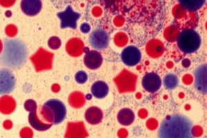 Microbiology: Stains, Cultures, and Antibiotics