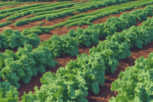 Types of Crops and Kale Farming