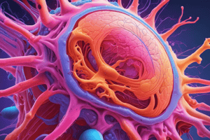 Embryonic Connective Tissue and Mesenchyme Quiz