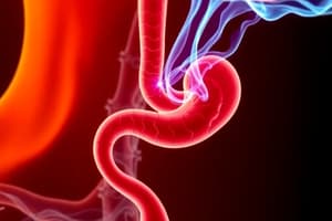 Esophagus and Esophageal Disorders