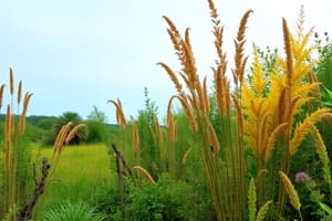 Biomes of North America