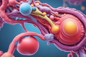 Thyroid Hormones and Hypothyroidism Quiz