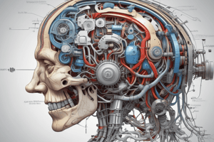 Motor Unit Structure and Function