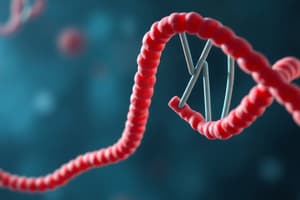 Gene Expression and Transcription Overview