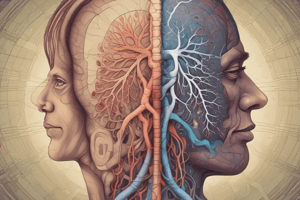 Cheyne-Stokes Breathing: Causes and Characteristics