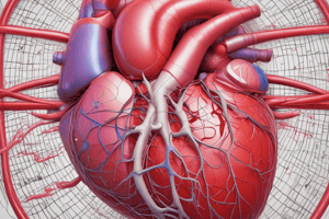 Understanding the Cardiac Cycle