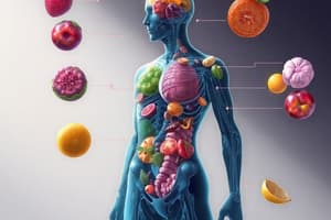 Nutrición y Metabolismo: Conceptos Clave