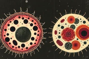 Cell Structure Quiz