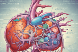 MBBS Stage 1: Liver and Gluconeogenesis