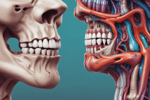 Larynx & Ear