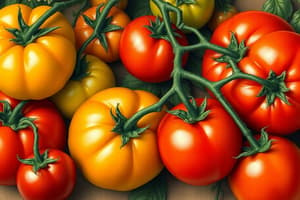 Tomato Varieties